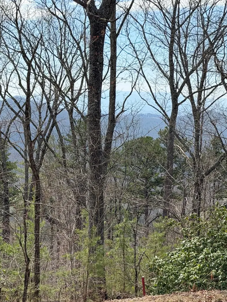 7.26 AC Panorama Drive, Murphy, NC 28906 - #2