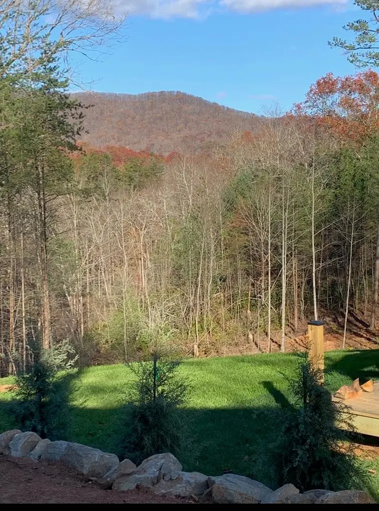 16 Merlin Trail, Murphy, NC 28906 - #1