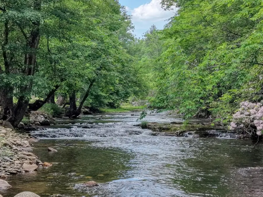 515 Barlow Fields Drive, Hayesville, NC 28904 - #2