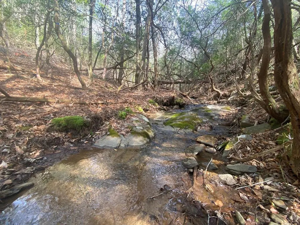 11 Ludlum Drive, Hayesville, NC 28904 - #1