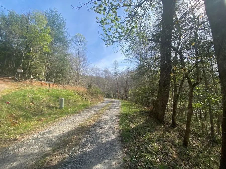 11 Ludlum Drive, Hayesville, NC 28904 - #2