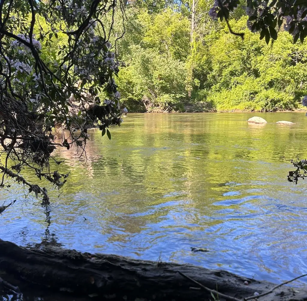 Lot 38 River Ridge, Murphy, NC 28906 - #1