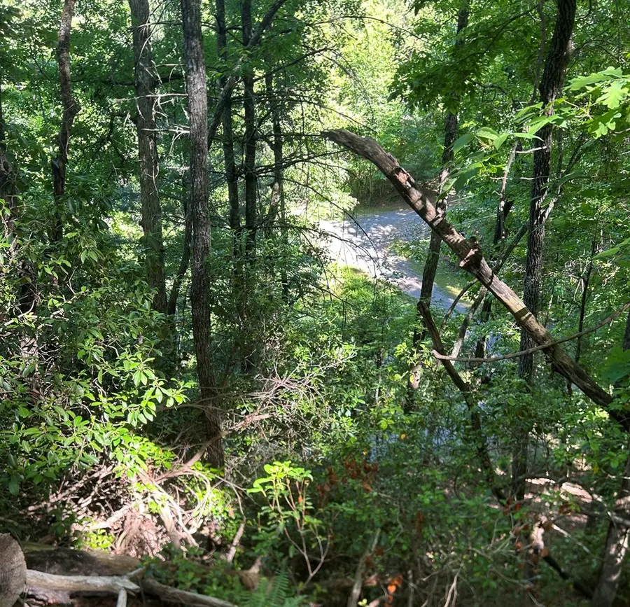 Lot 38 River Ridge, Murphy, NC 28906 - #3