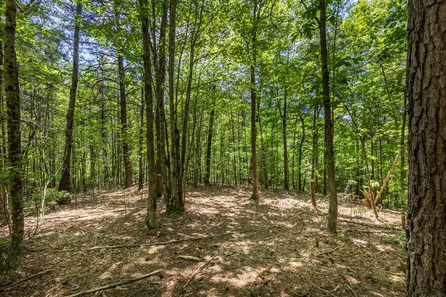 4.0 Acre Donley Road, Murphy, NC 28906 - #2