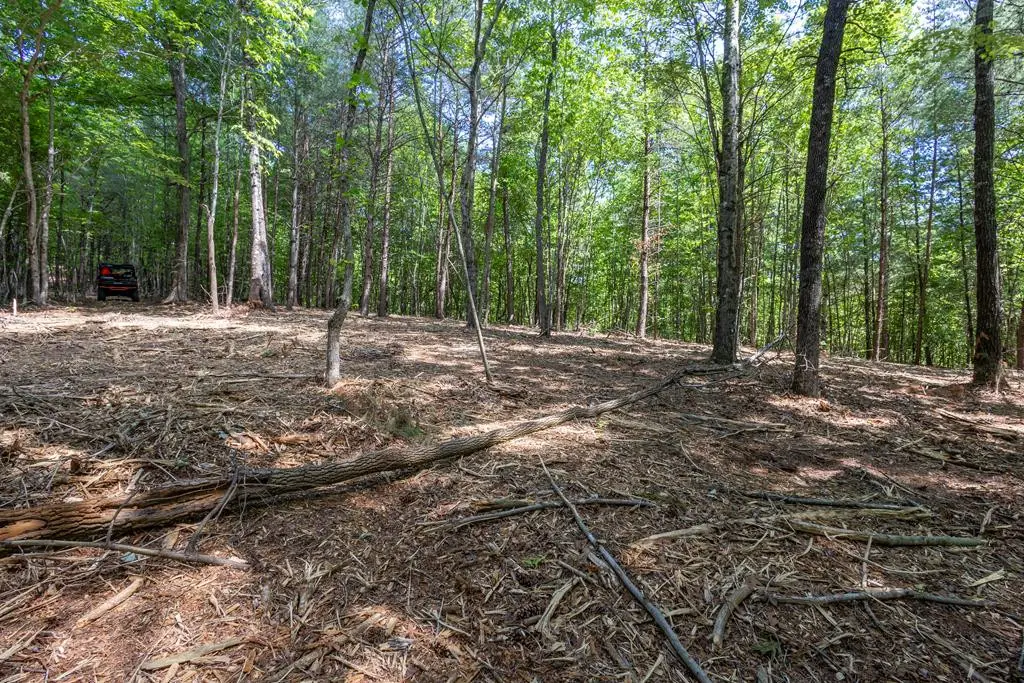 20 Ac Pack Mountain Road, Murphy, NC 28906 - #1