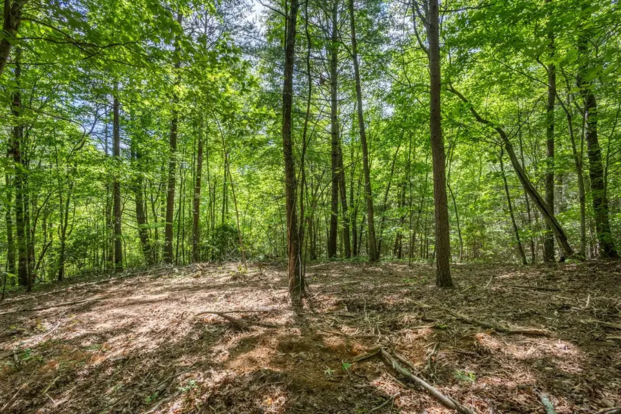 20 Ac Pack Mountain Road, Murphy, NC 28906 - #2