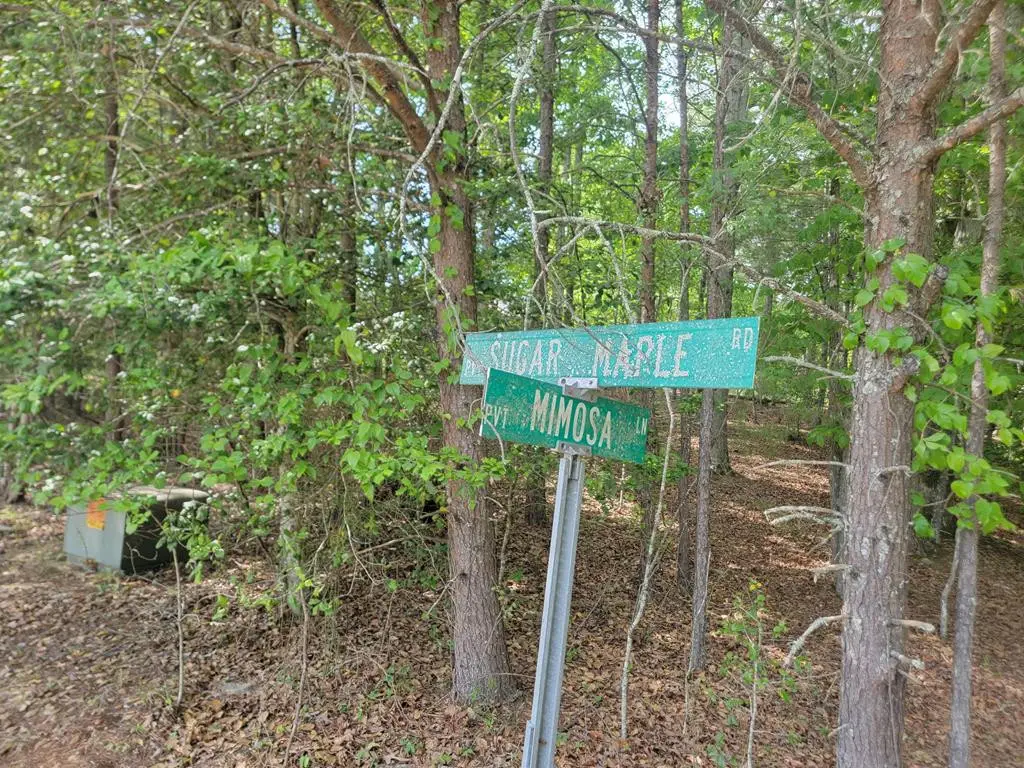 44 Sugar Maple Road, Murphy, NC 28906 - #1