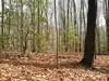 Lot 25 N Laurel Mountain Drive, Brasstown, NC 28902 - #1