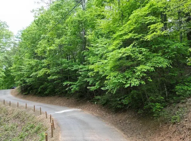 Lot 13 Dogwood Trail, Robbinsville, NC 28771 - #3