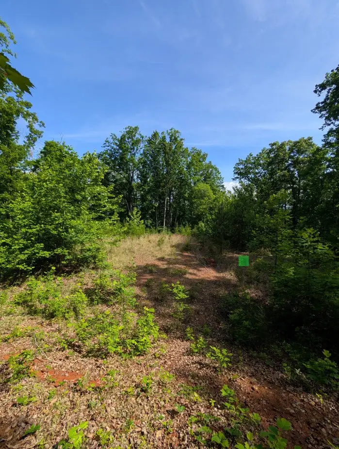 TR 2 Flacon, Hayesville, NC 28904 - #2