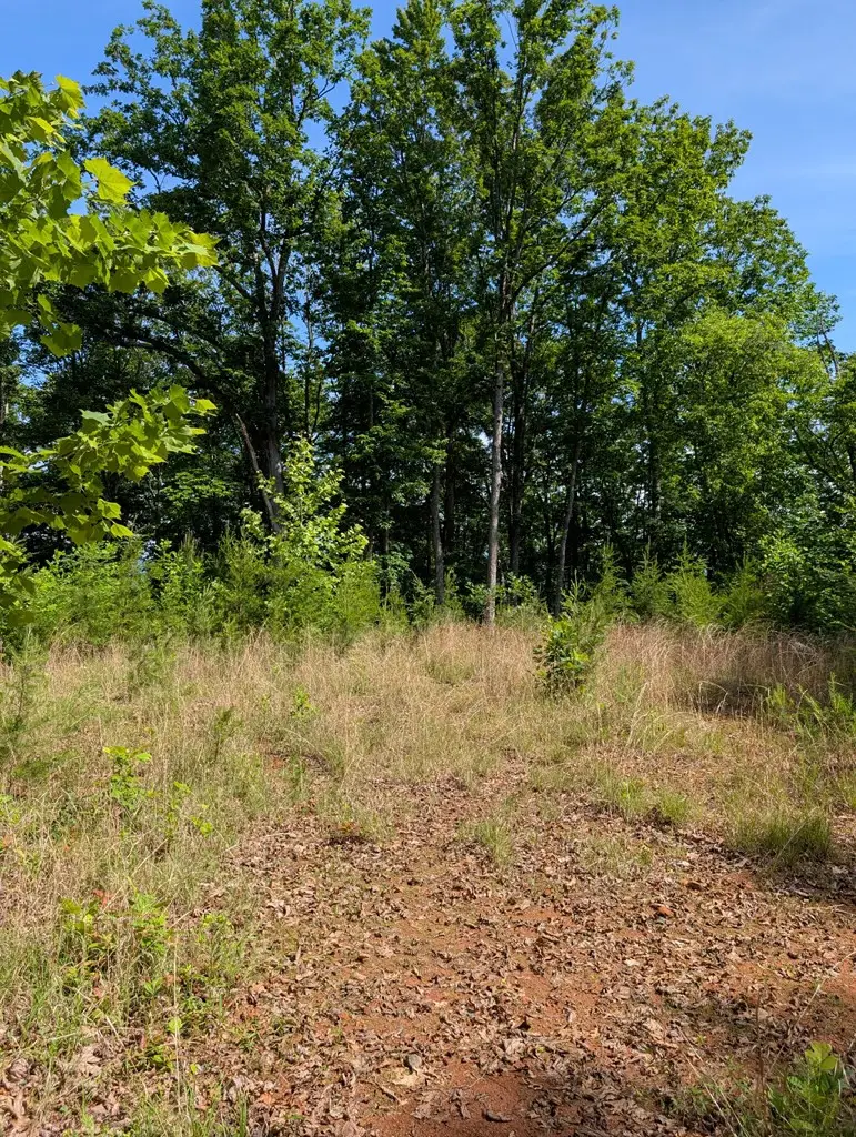 TR 2 Flacon, Hayesville, NC 28904 - #3