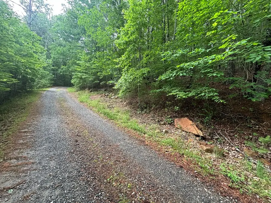 Lot 3 Horse Camp Drive, Hayesville, NC 28904 - #2