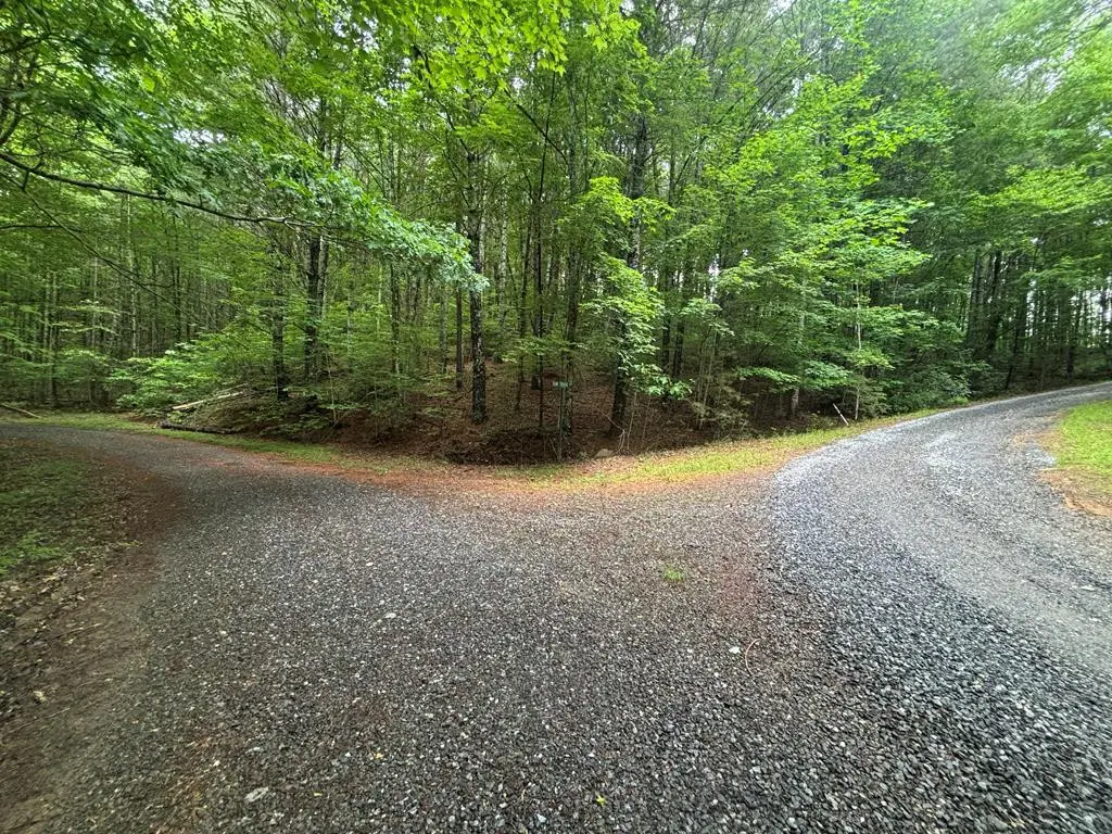 Lot 7 Horse Camp Drive, Hayesville, NC 28904 - #1