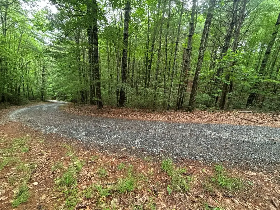 Lot 7 Horse Camp Drive, Hayesville, NC 28904 - #2