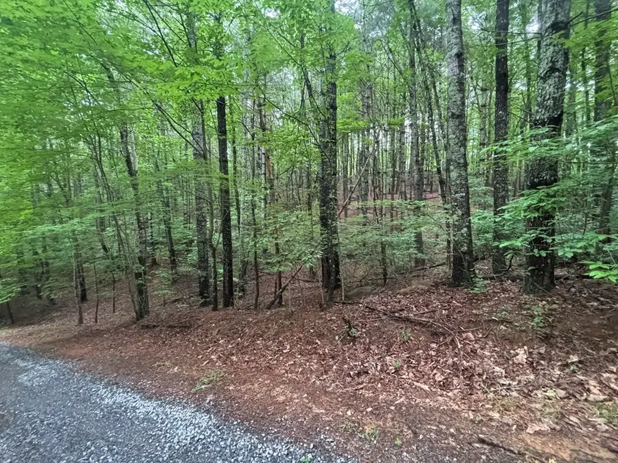Lot 7 Horse Camp Drive, Hayesville, NC 28904 - #3