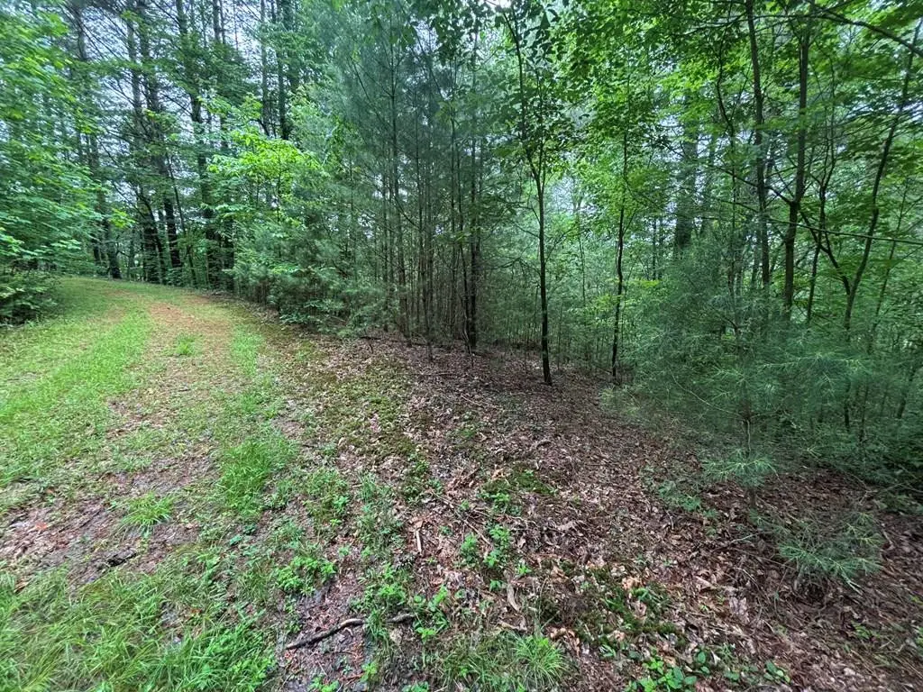 Lot 11 Horse Camp Drive, Hayesville, NC 28904 - #1