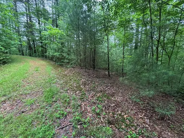 Lot 11 Horse Camp Drive, Hayesville, NC 28904