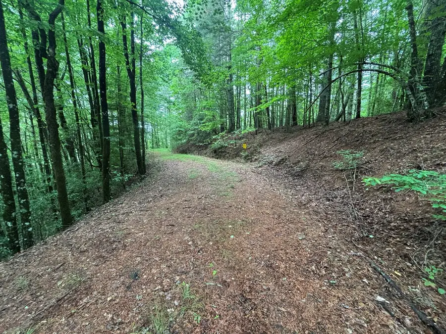 Lot 11 Horse Camp Drive, Hayesville, NC 28904 - #3