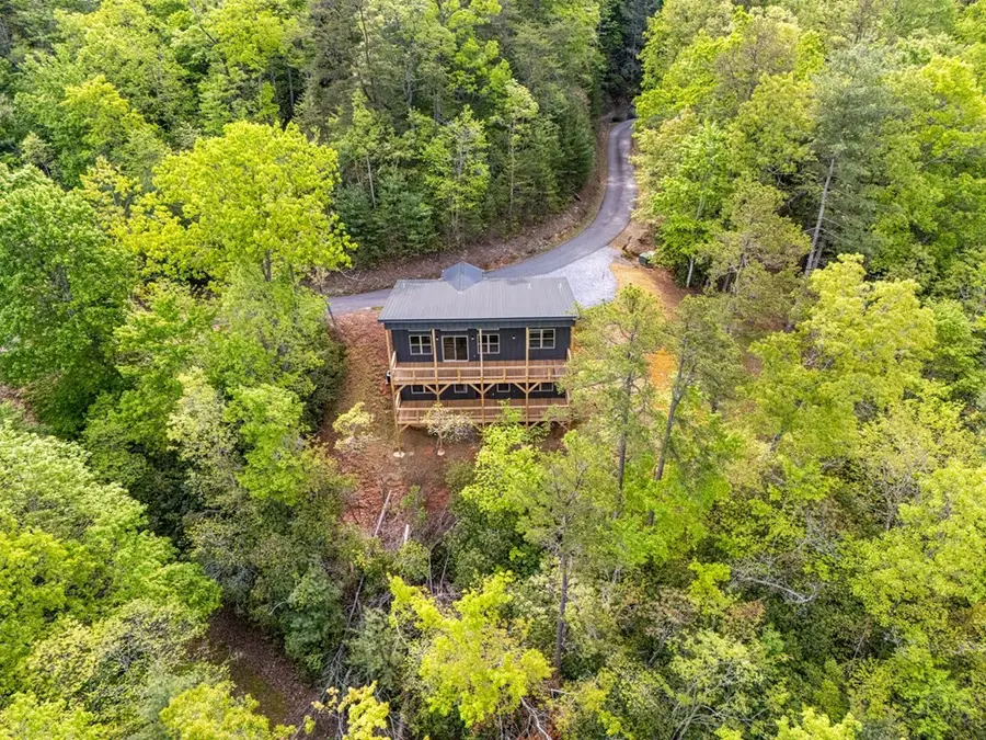 390 Fiddlers Way, Brasstown, NC 28902 - #2