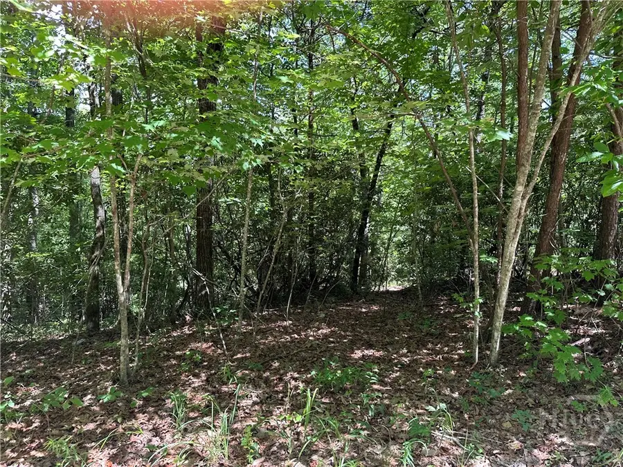 664 Gold Valley Road, Sautee Nacoochee, GA 30571 - #3