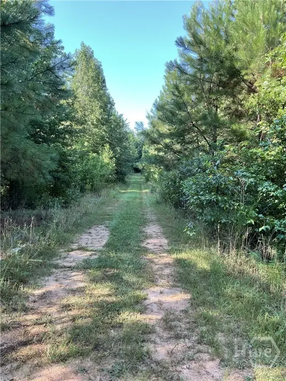 0 Bowers Street #LOT 1-8, Bowman, GA 30624 - Image #2