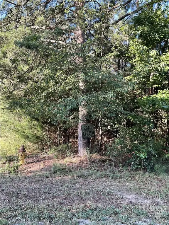 0 Bowers Street #LOT 1-8, Bowman, GA 30624 - Image #3