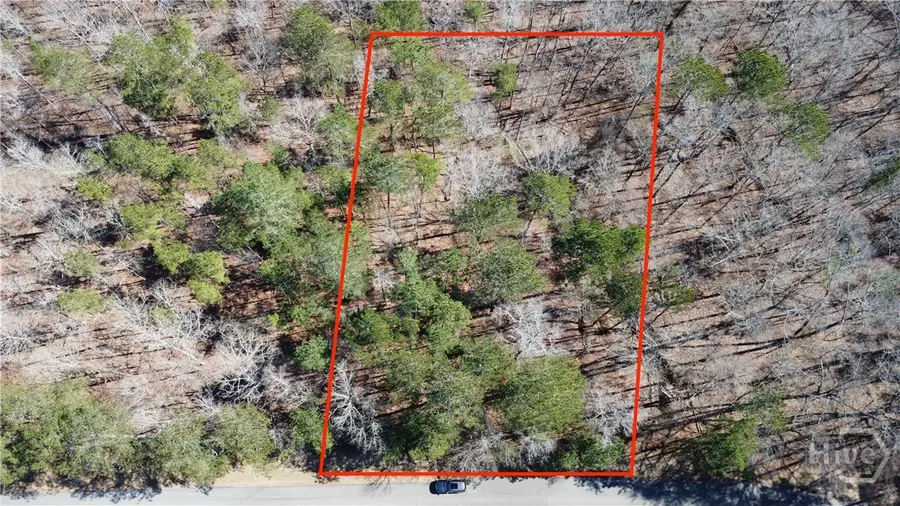 1041 Shadow Creek Way, Greensboro, GA 30642 - Image #2