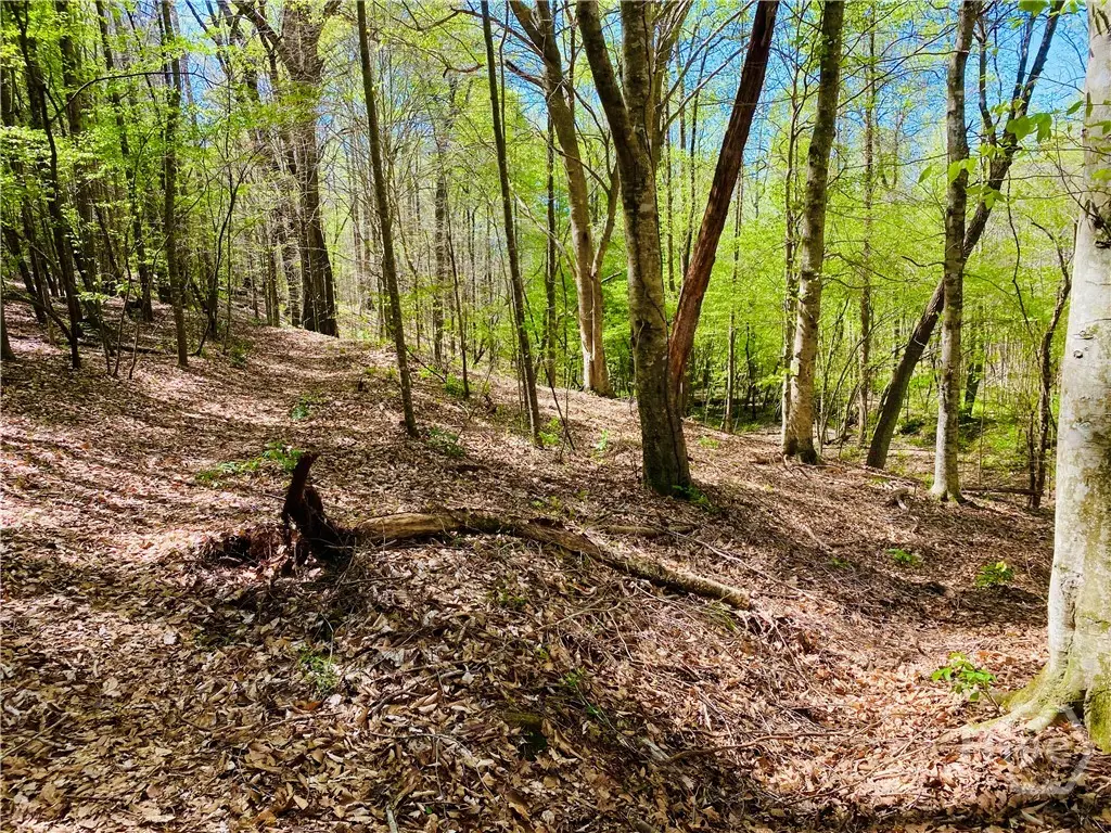 2B Curry Falls Trail Road #2B, Athens, GA 30607 - Image #1