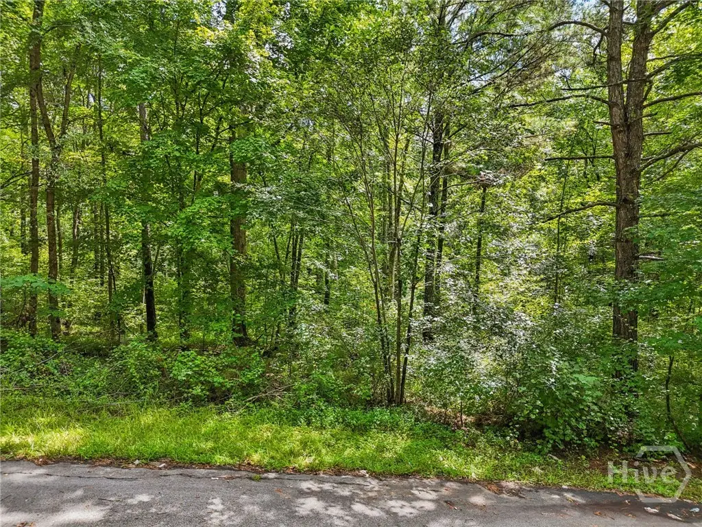1040 Union Station Road, Greensboro, GA 30642 - #1