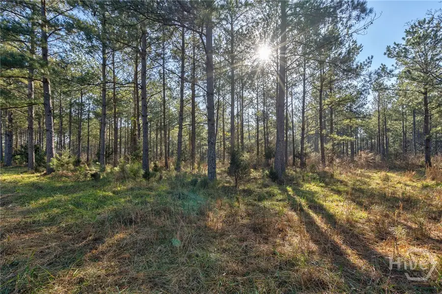 0 77 Highway, Lexington, GA 30648 - Image #3