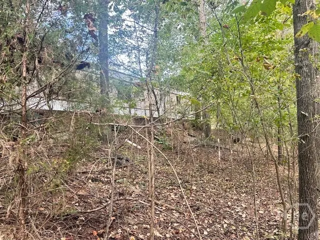 1344 Jim Grizzle Road, Royston, GA 30662 - Image #3