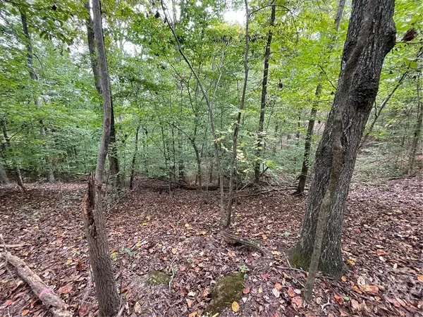 Lot 296 Oconee Avenue, Westminster, SC 29693