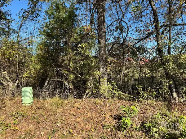 Tract 2 Taylor Road, Lexington, GA 30648