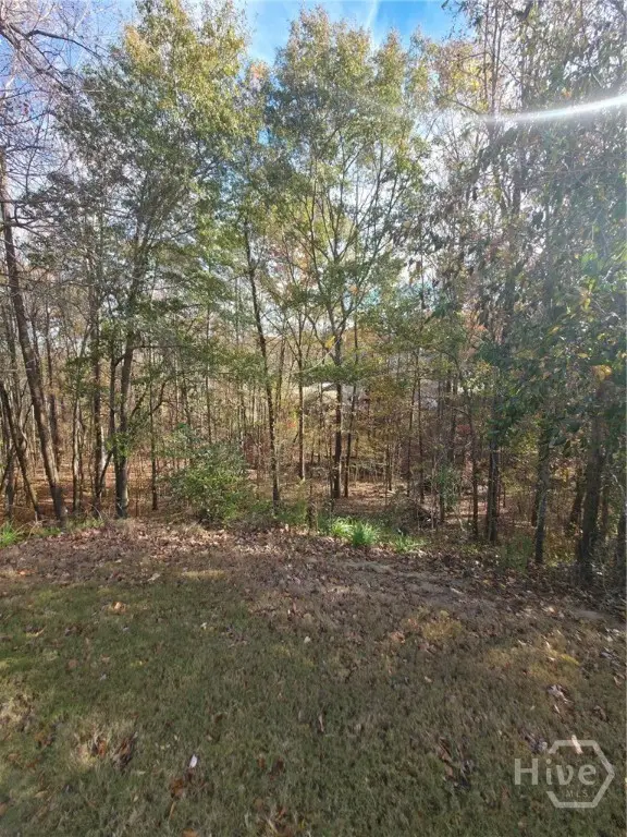 2412 Snowshoe Bend, Bethlehem, GA 30620 - Image #2