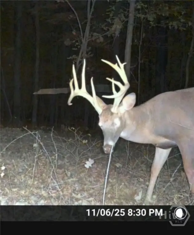 0 Ga Hwy 72, Comer, GA 30629 - Image #2