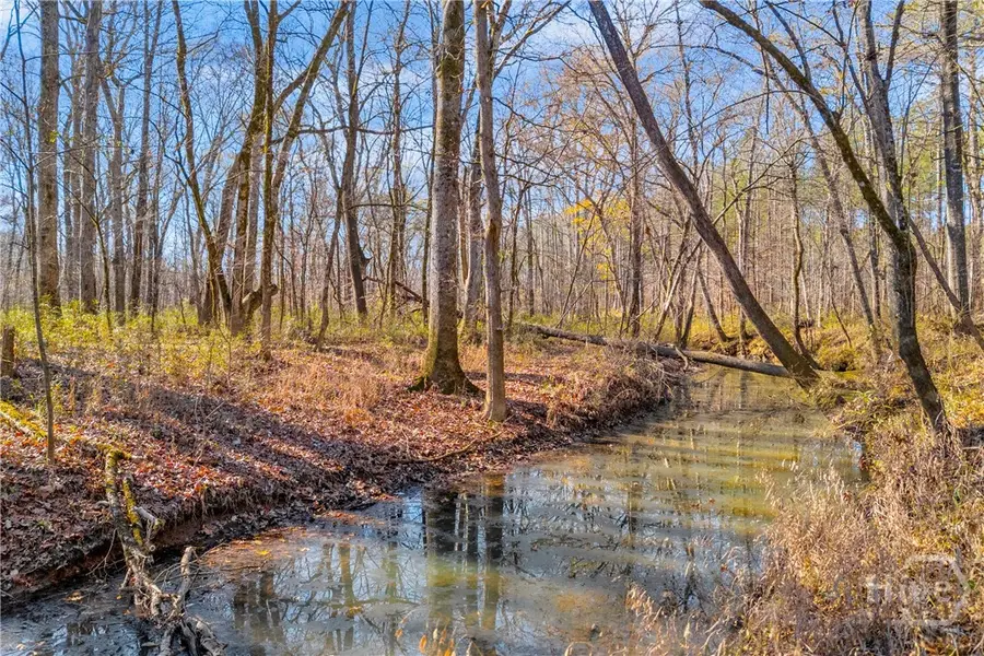 0 Smith Road, Carlton, GA 30627 - #2