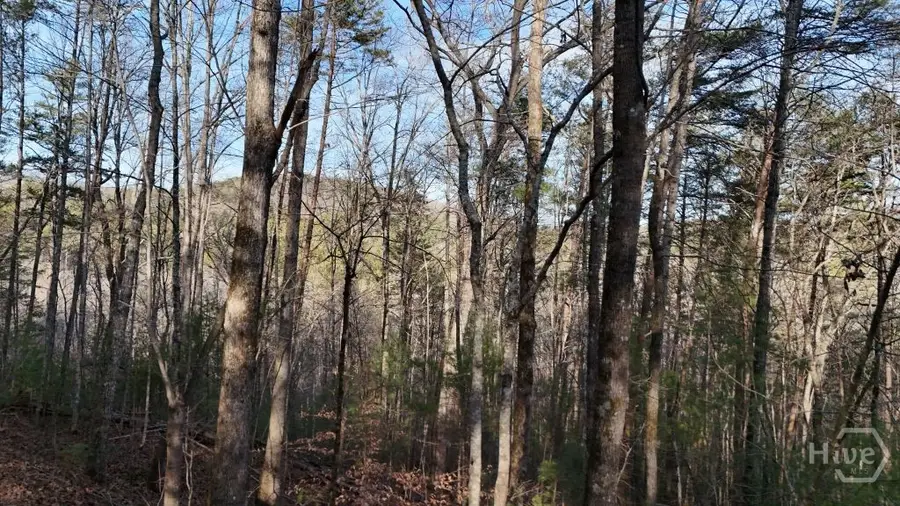 Lot 1 Gold Valley Road, Sautee Nacoochee, GA 30571 - #2