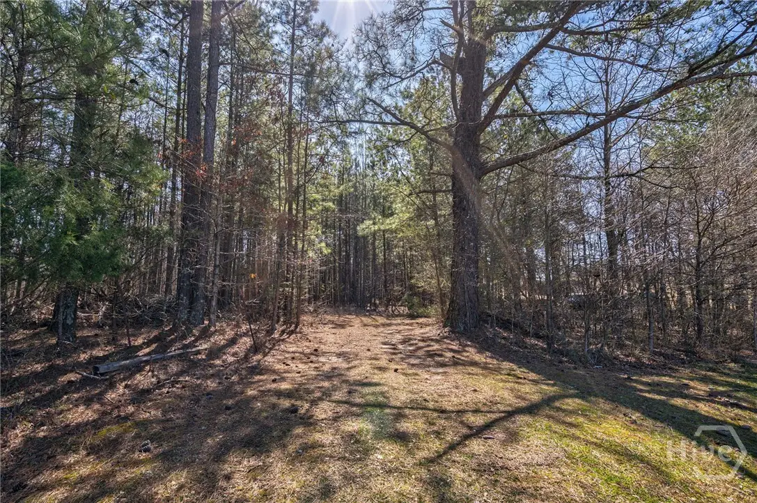 202 Kent Rock Road #Tract 4, Loganville, GA 30052 - #1