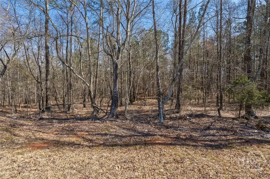 202 Kent Rock Road #Tract 4, Loganville, GA 30052 - #3