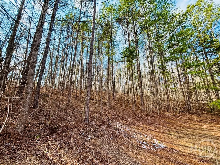 1241 Pembrook Drive, Watkinsville, GA 30677 - Image #2