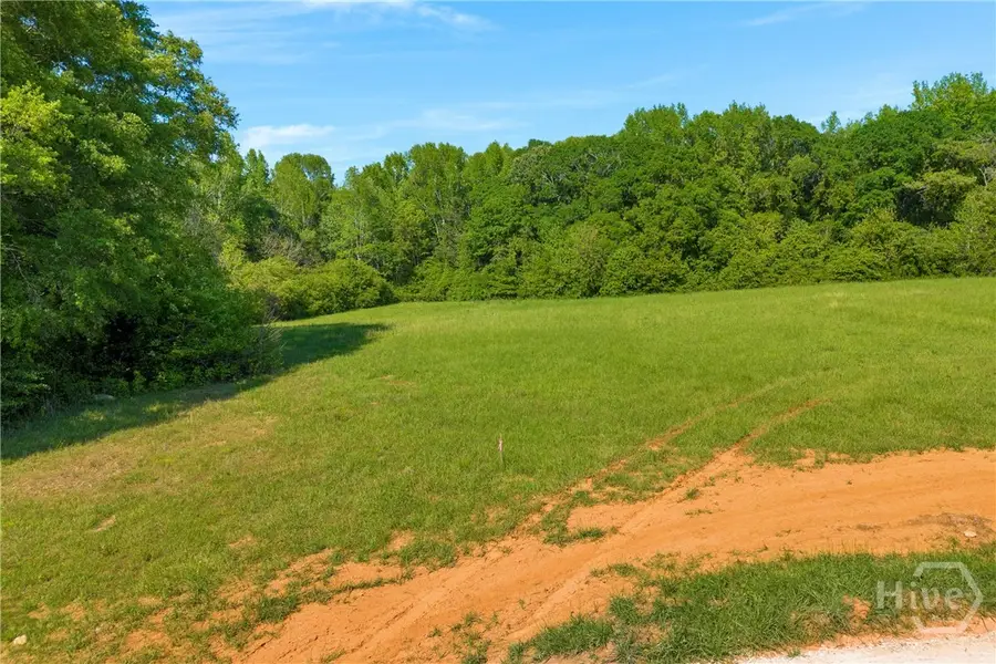 0 Treadwell Bridge Road #1A, Statham, GA 30666 - #2