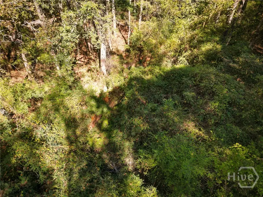 1092 Cooper Gin Road, Statham, GA 30666 - #2