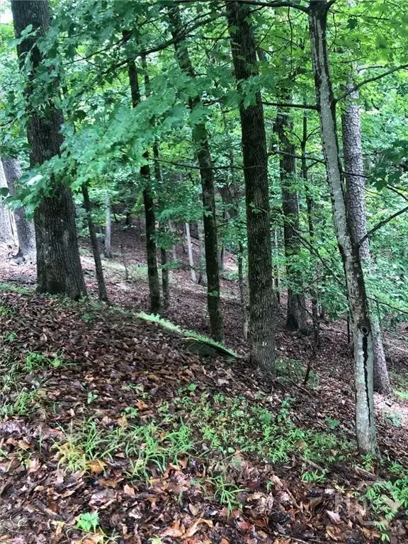 6055 Crested Iris Circle, Jasper, GA 30143 - #2