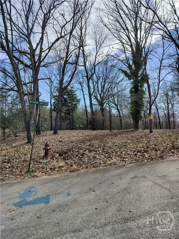 0 Hickory Log Circle, Eastanollee, GA 30538