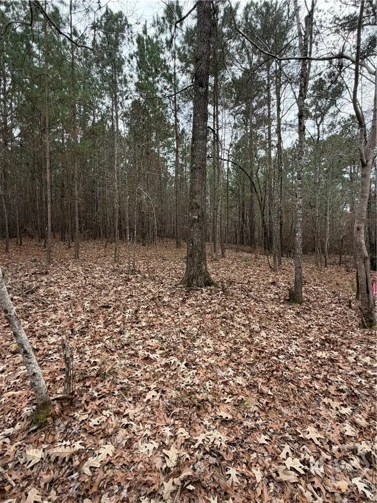 1700 Northwoods Drive, Greensboro, GA 30642 - #3