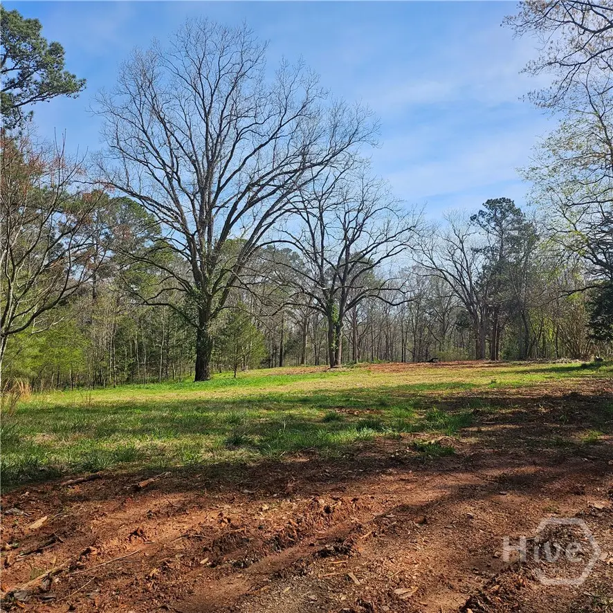 6291 Colham Ferry Road, Watkinsville, GA 30677 - #1
