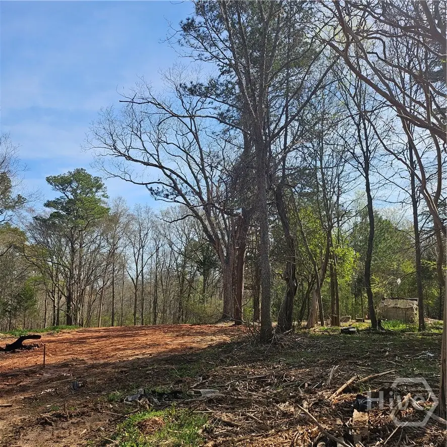 6291 Colham Ferry Road, Watkinsville, GA 30677 - #3
