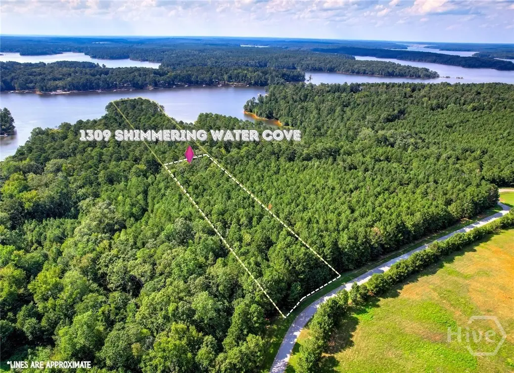 1309 Shimmering Water Cove, Tignall, GA 30668 - #1