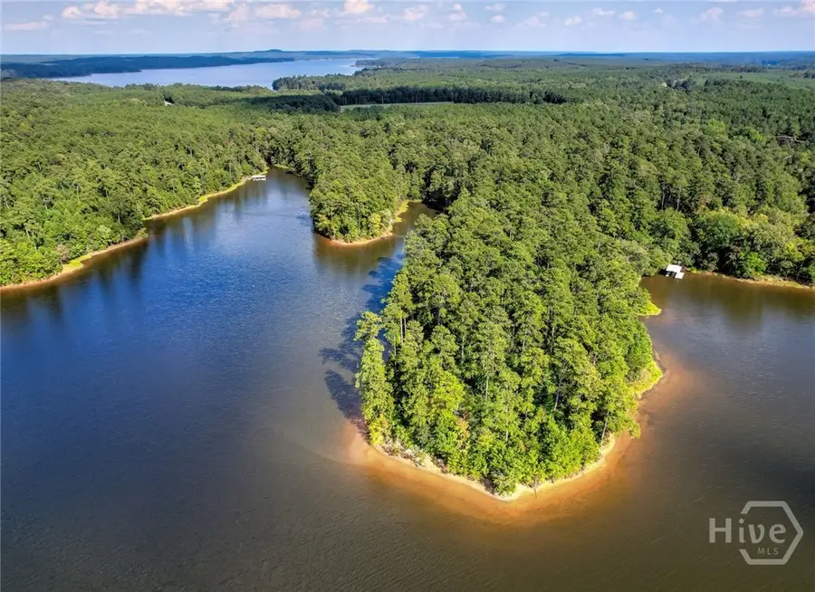 1309 Shimmering Water Cove, Tignall, GA 30668 - #2