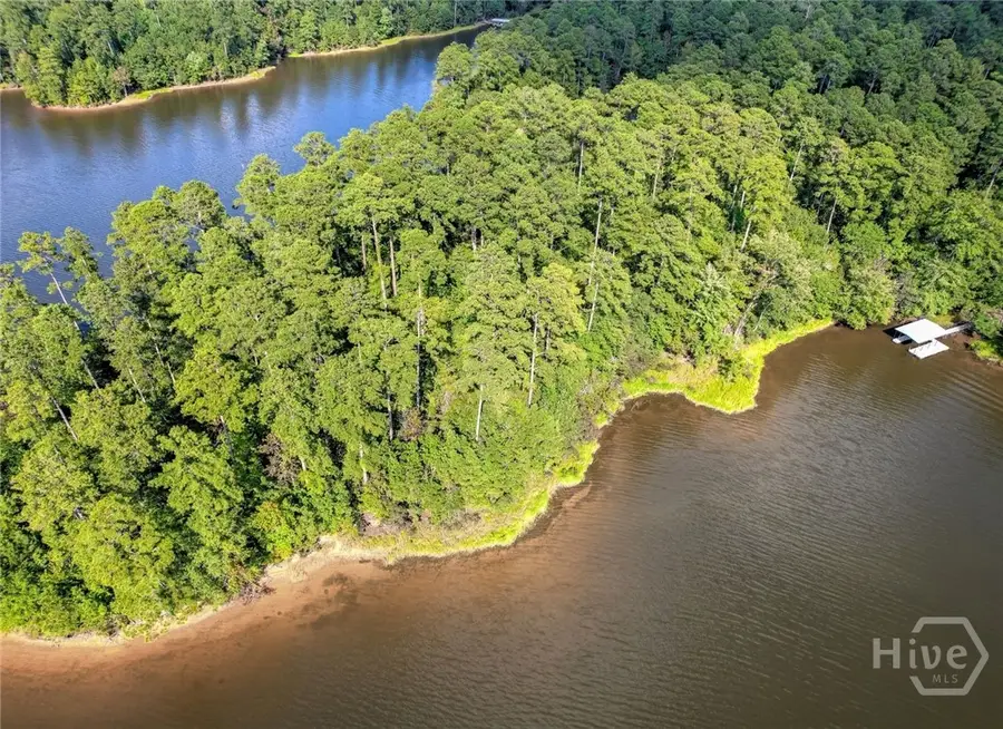 1309 Shimmering Water Cove, Tignall, GA 30668 - #3